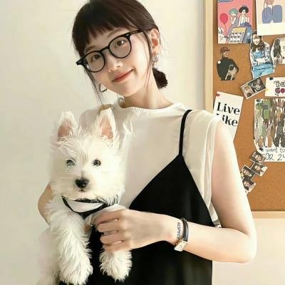 没人瞭波斯猫